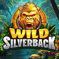 Wild Silverback in Si_allslots