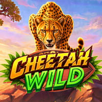 Cheetah Wild in All Games