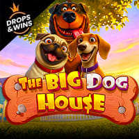 The Big Dog House in si_bestnew