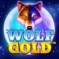 Wolf Gold in si_holdwin